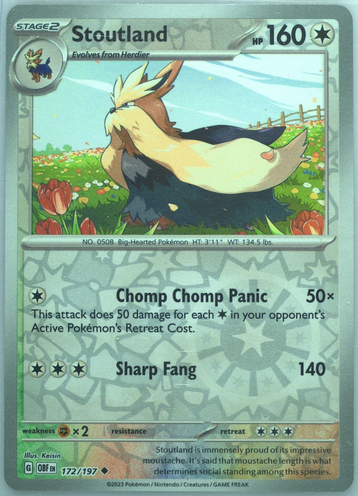 Stoutland Reverse Holo (172) 2023 Pokemon Obf EN-Obsidian Flames