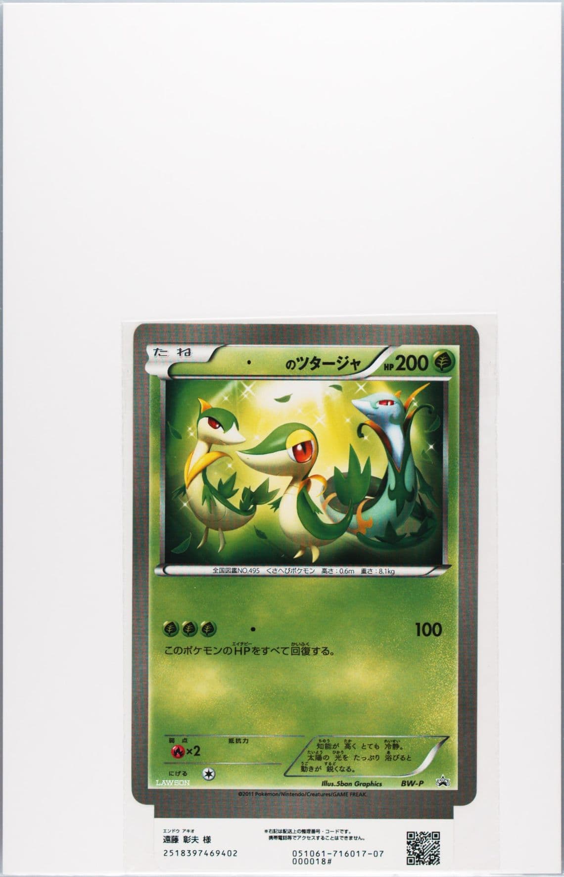 Snivy Lawson Original Customized Jumbo Card Campaign-With Tab 2011 Pokemon Japanese Black & White Promo