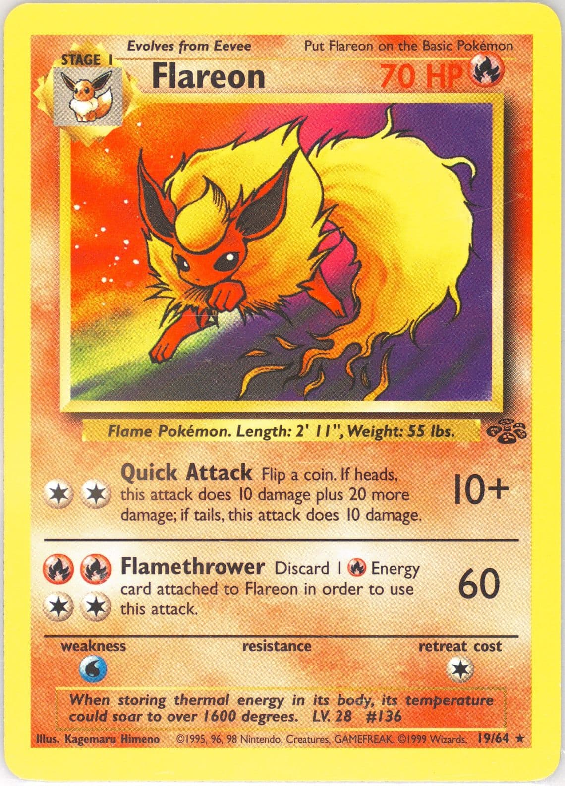 1999 eevee pokemon card #51 Jungle PSA | Extended Art Display Case for Retreat Cost Eevee Pokmon Card Pokemon |
