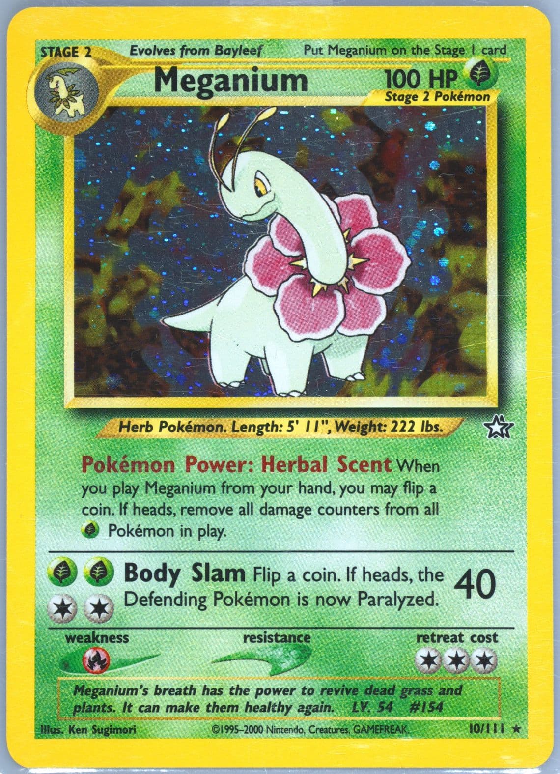 Meganium-Holo (10) 2000 Pokemon Neo Genesis