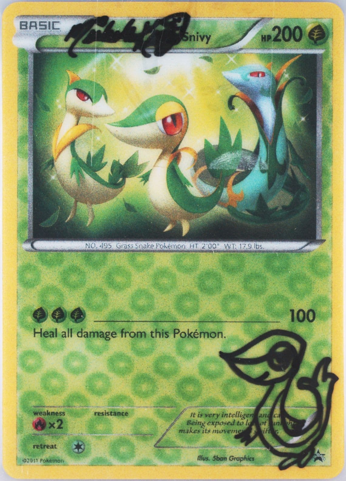 _____'s Snivy Jumbo-Super Snivy Box 2011 Pokemon Black & White Promo