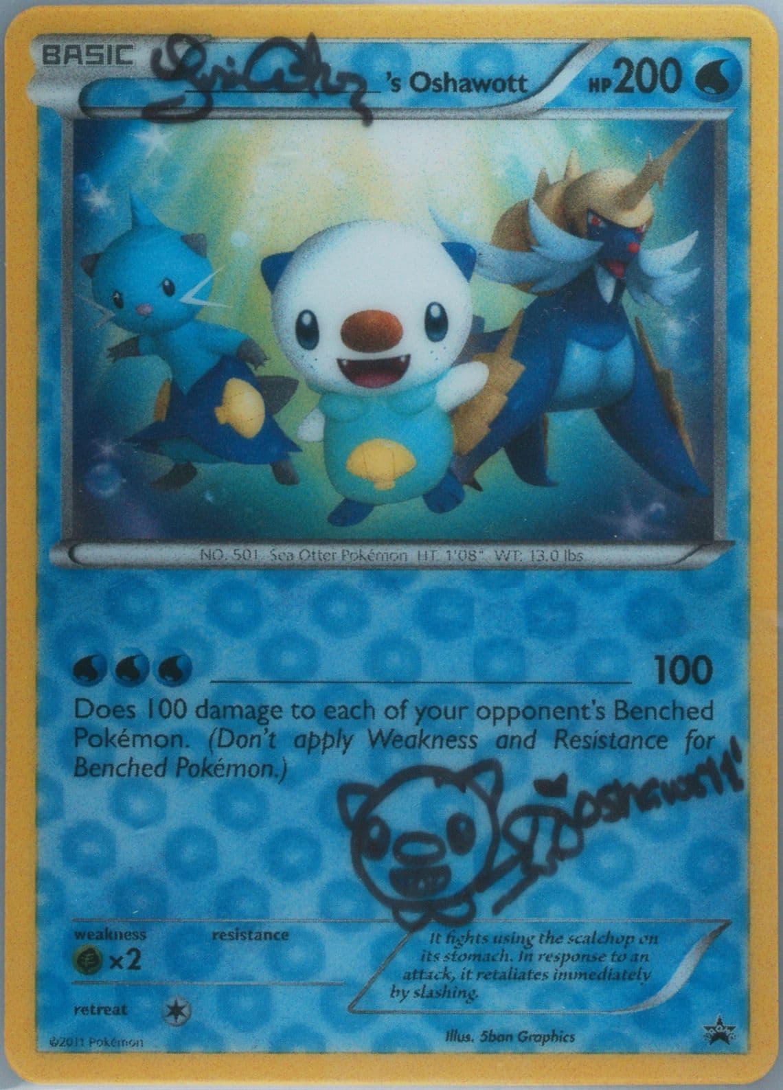 _____'s Oshawott Jumbo-Outstanding Oshawott Box 2011 Pokemon Black & White Promo