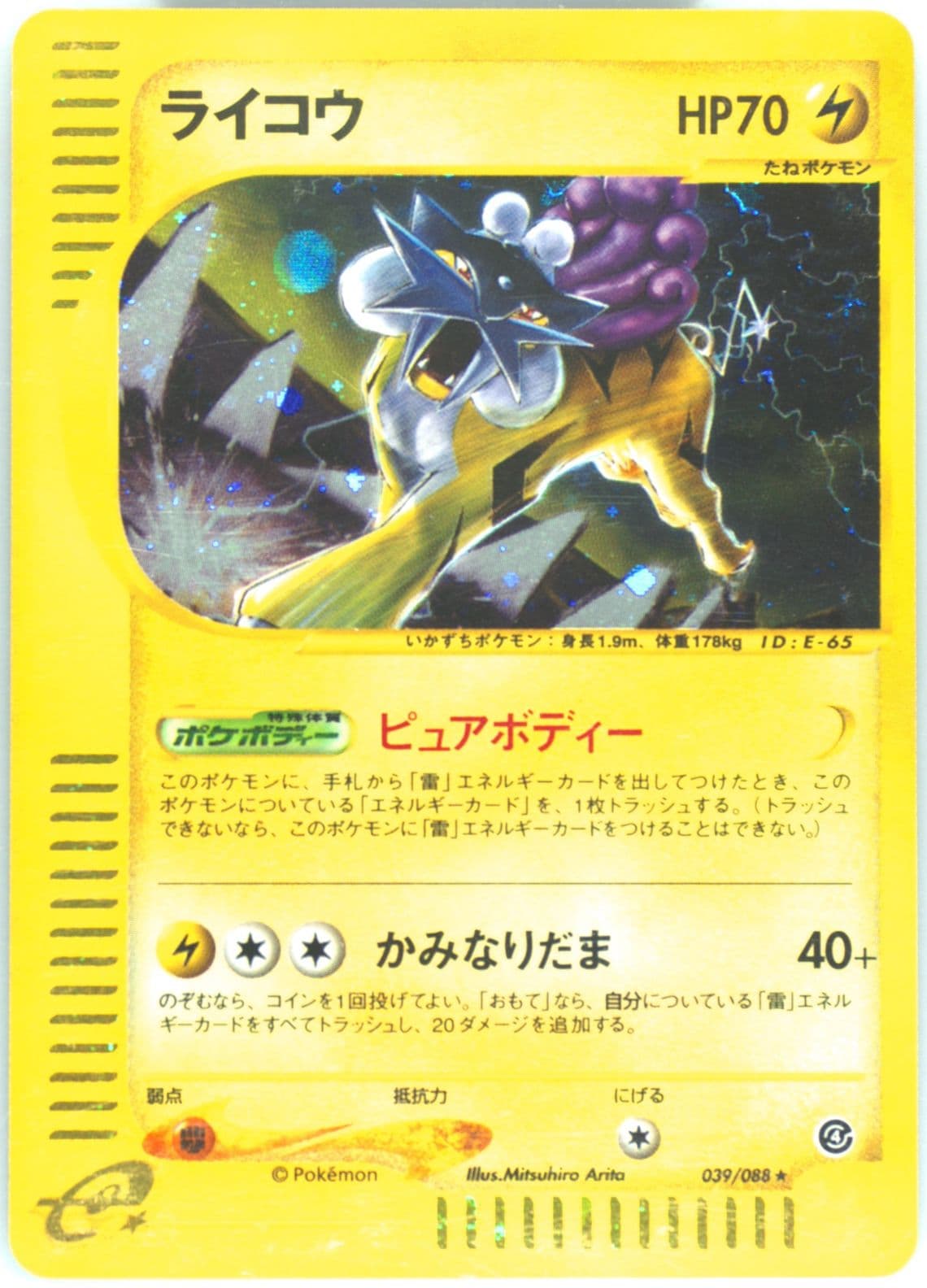 Raikou-Holo (039) 2002 Pokemon Japanese Split Earth