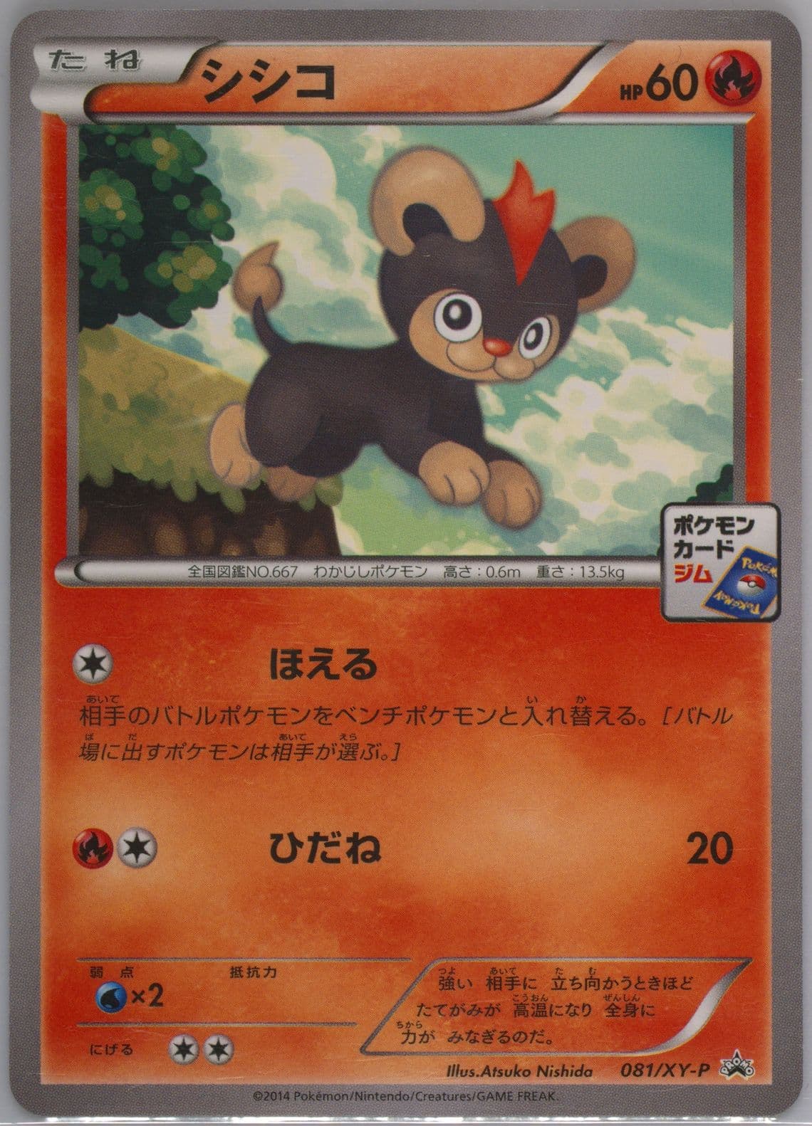 Litleo Pokemon Card Gym Pack (81) 2014 Pokemon Japanese XY Promo