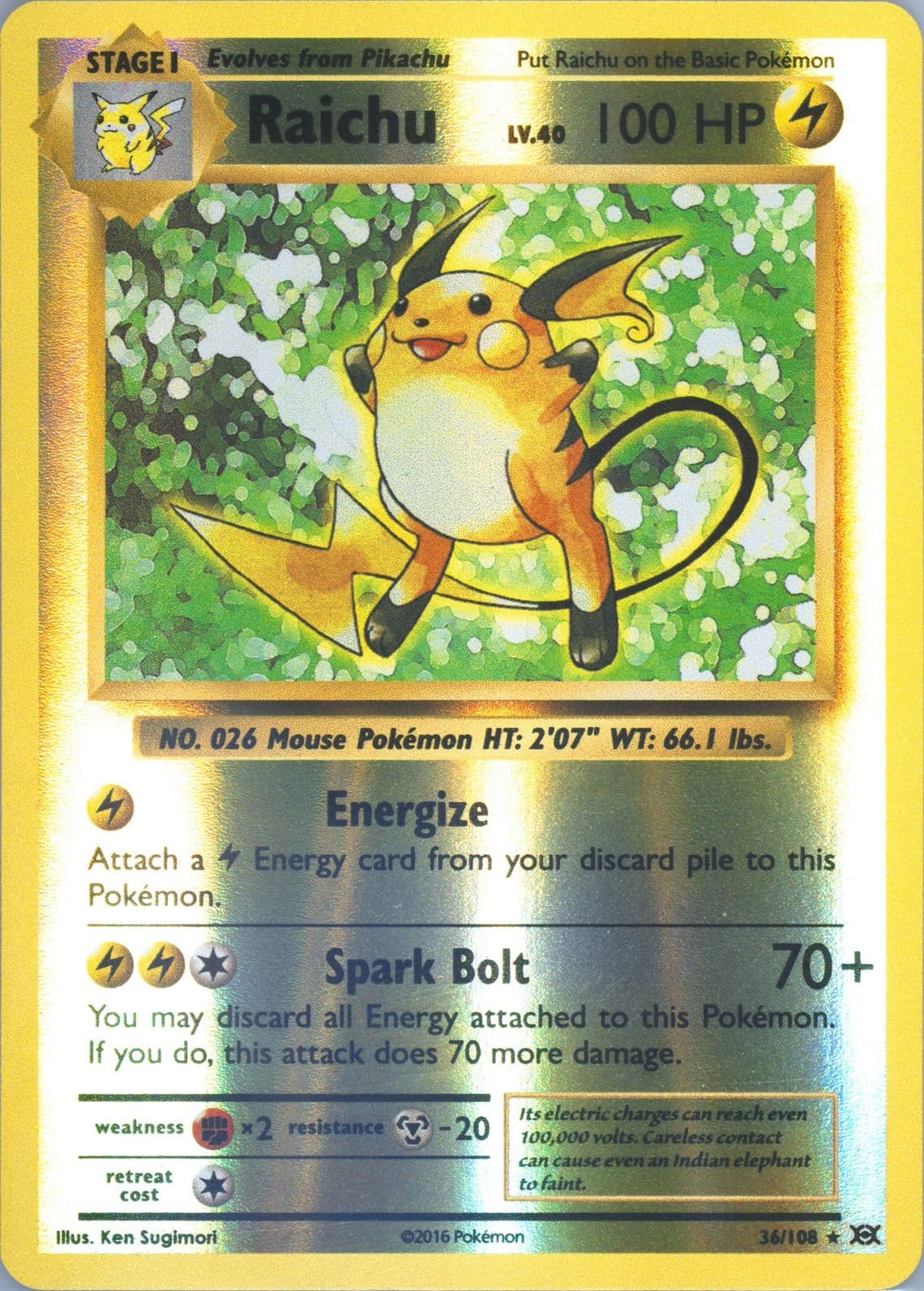 Raichu-Reverse Foil (36) 2016 Pokemon XY Evolutions