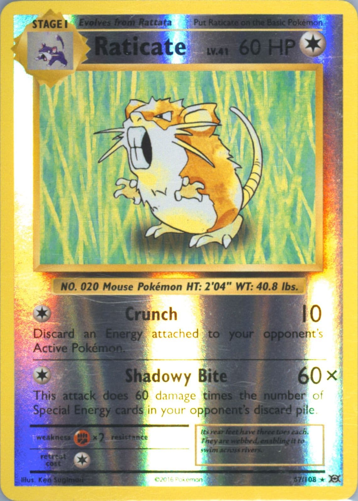 Raticate-Reverse Foil (67) 2016 Pokemon XY Evolutions