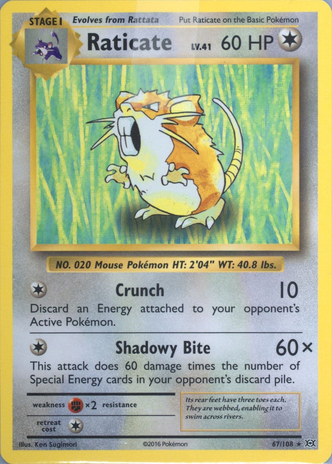 Raticate (67) 2016 Pokemon XY Evolutions