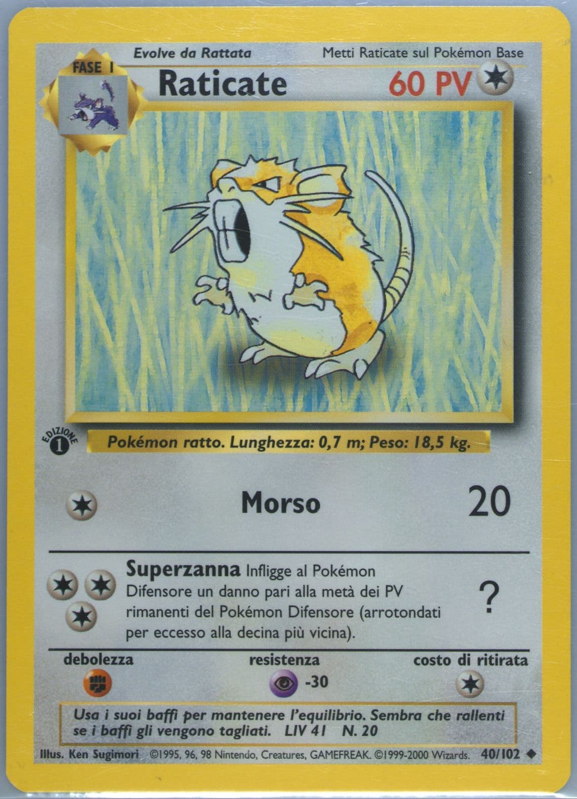 Raticate 1st Edition-Italian (40) 2000 Pokemon Game