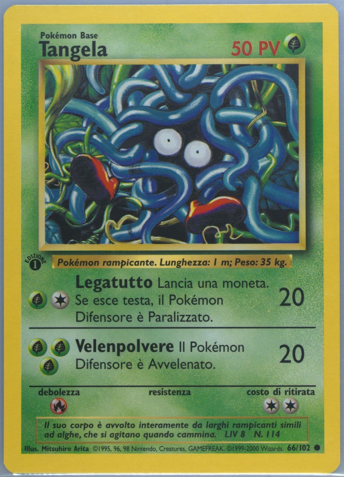 Tangela 1st Edition-Italian (66) 2000 Pokemon Game