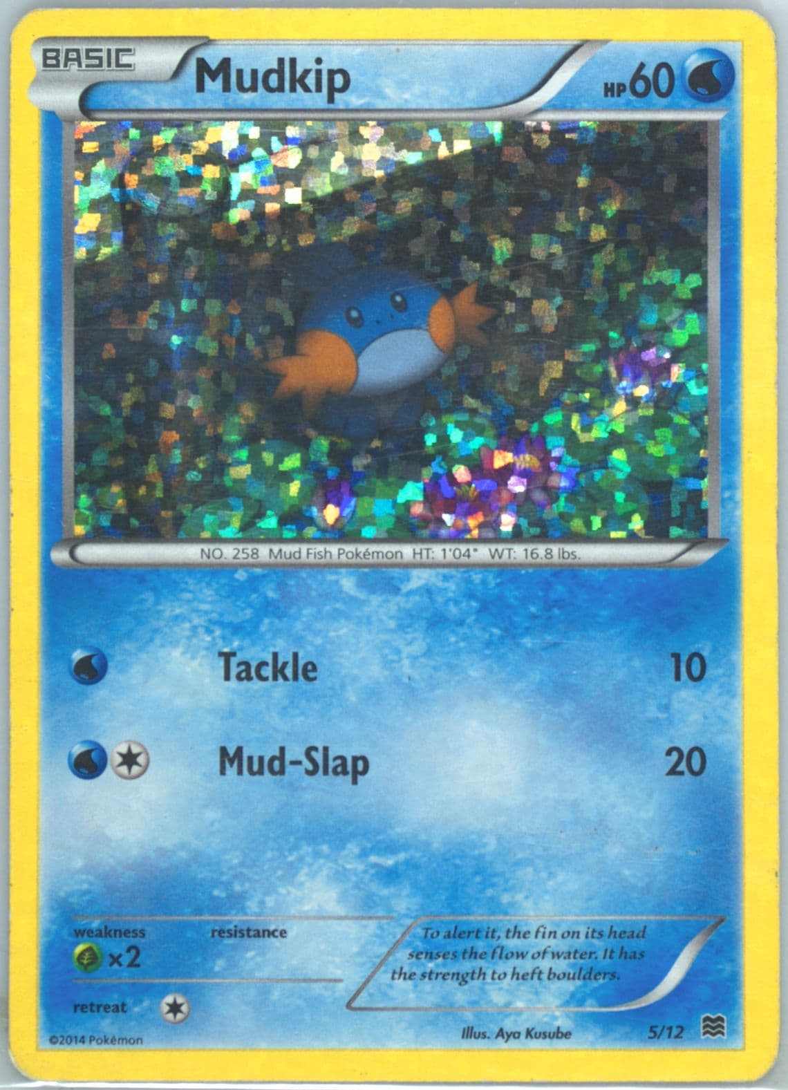 Mudkip (5) 2015 Pokemon McDonald's Collection