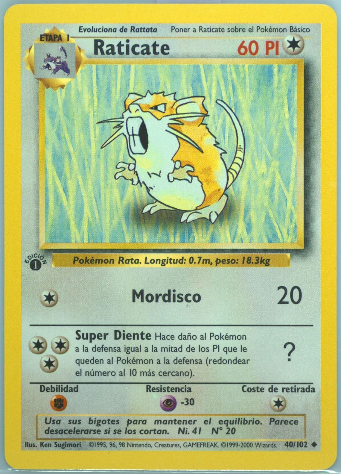 Raticate 1st Edition (40) 1999 Pokemon Spanish
