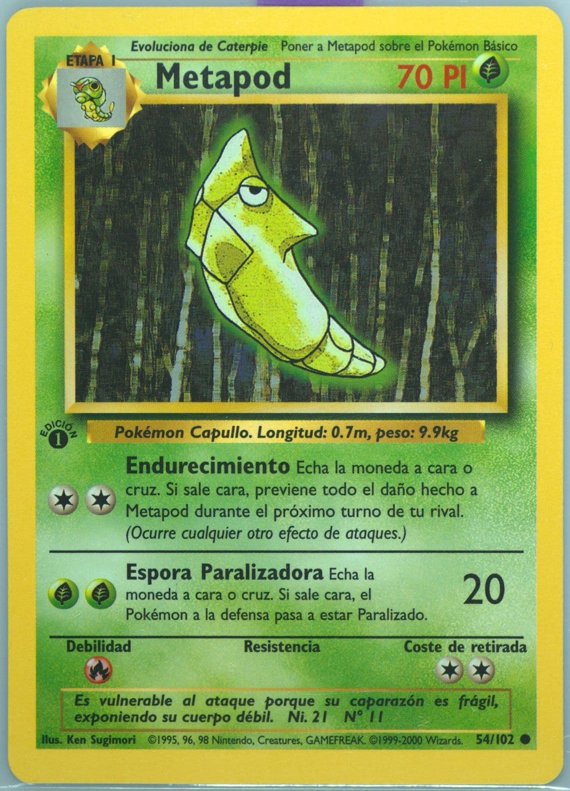 Metapod 1st Edition (54) 1999 Pokemon Spanish