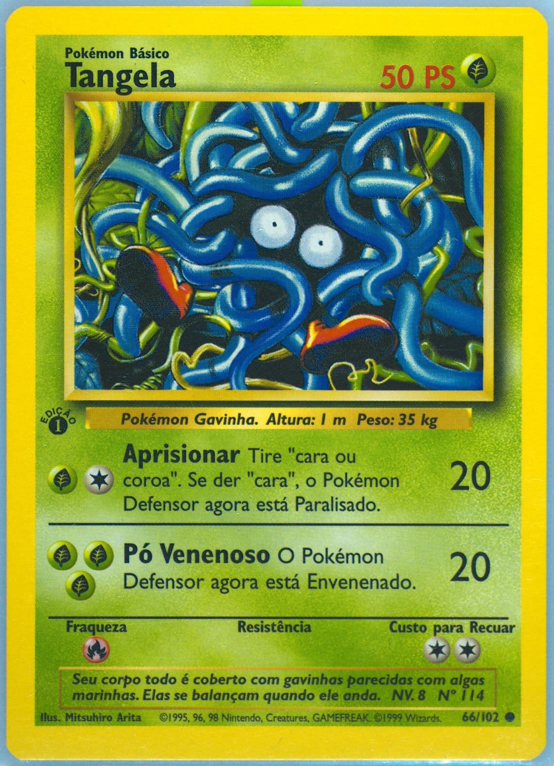 Tangela 1st Edition (66) 1999 Pokemon Portuguese