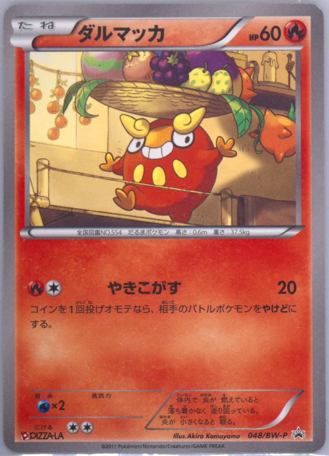 Darumaka Pizza-La Campaign (48) 2011 Pokemon Japanese Black & White Promo