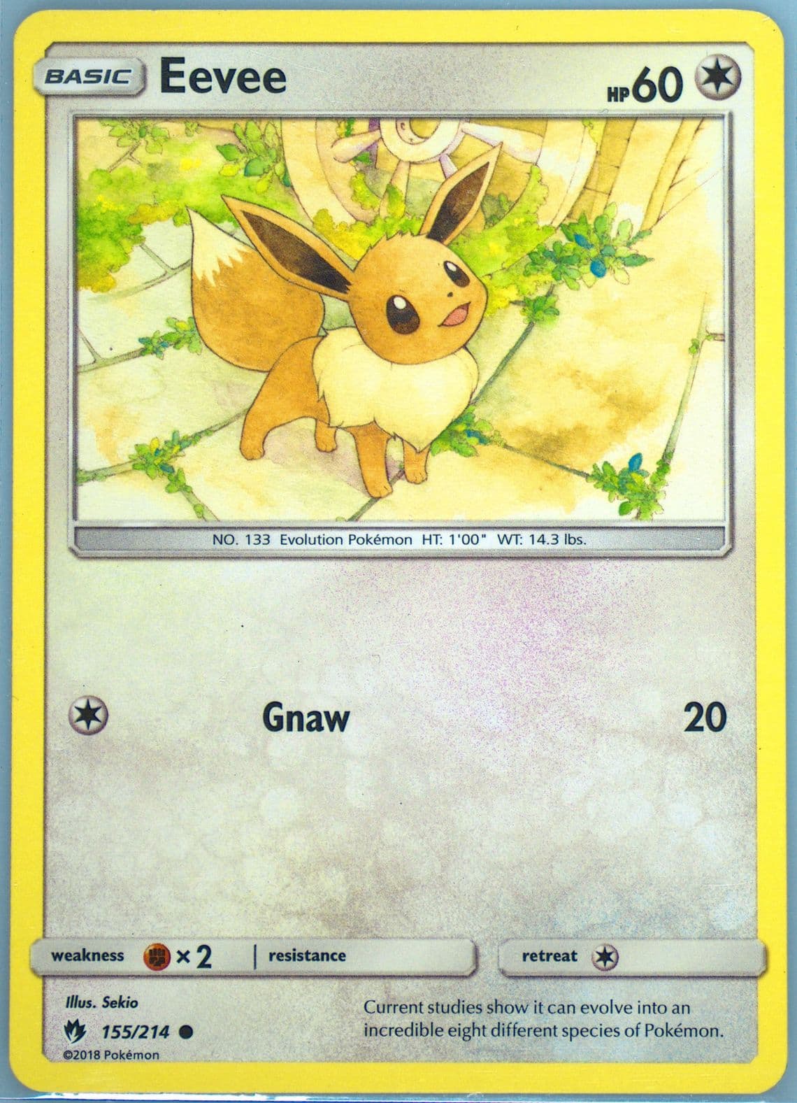 Eevee (155) 2018 Pokemon Sun & Moon Lost Thunder