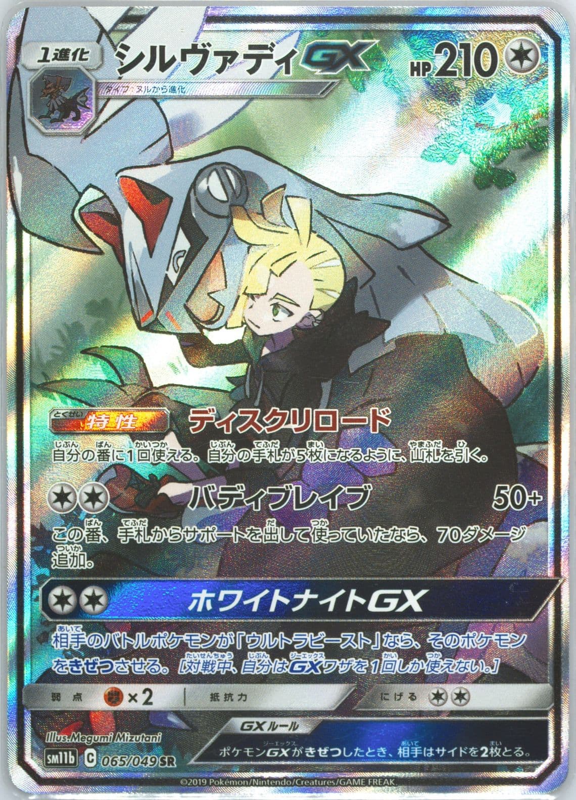 Full Art/Silvally GX (065) 2019 Pokemon Japanese Sun & Moon Dream League