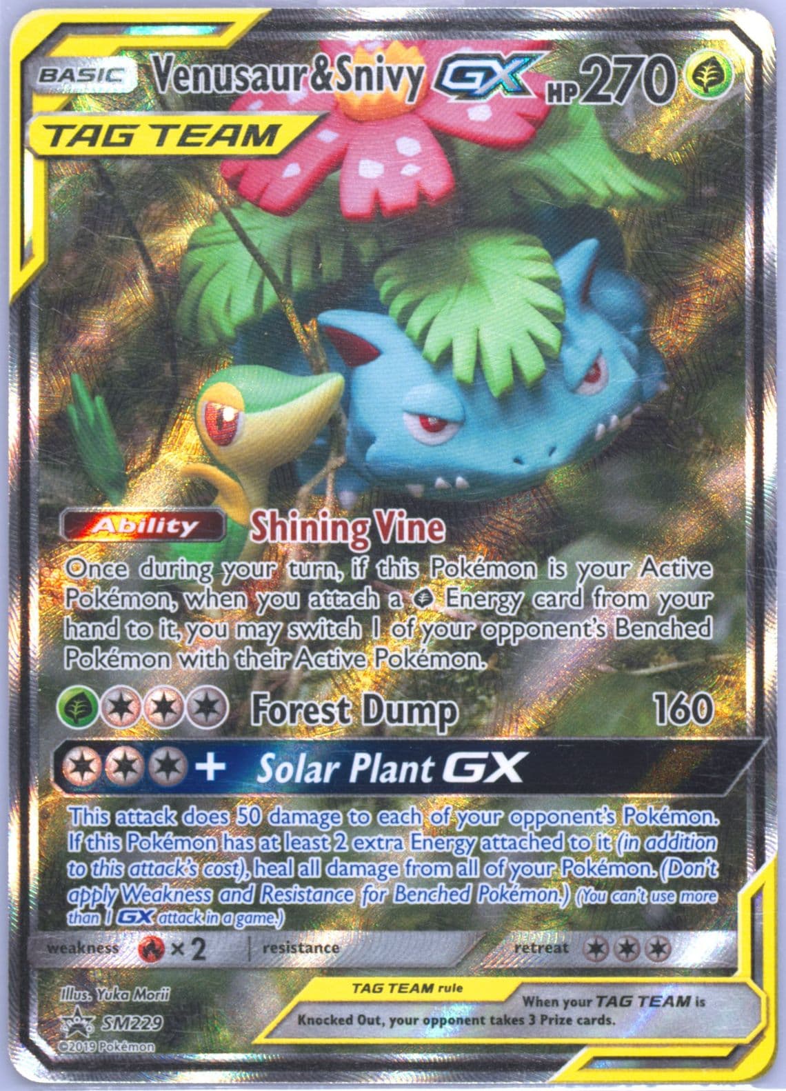 Full Art/Venusaur & Snivy GX Tag Team Generations Premium Collection (SM229) 2019 Pokemon SM Black Star Promo
