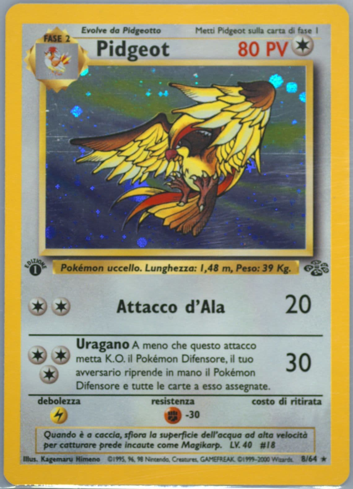 Pidgeot-Holo 1st Edition (8) 2000 Pokemon Italian Jungle