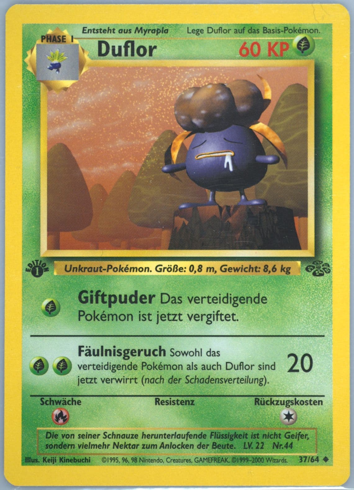 Duflor 1st Edition (37) 2000 Pokemon German Jungle