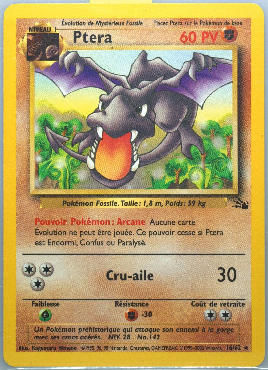 Ptera (16) 2000 Pokemon French Fossil