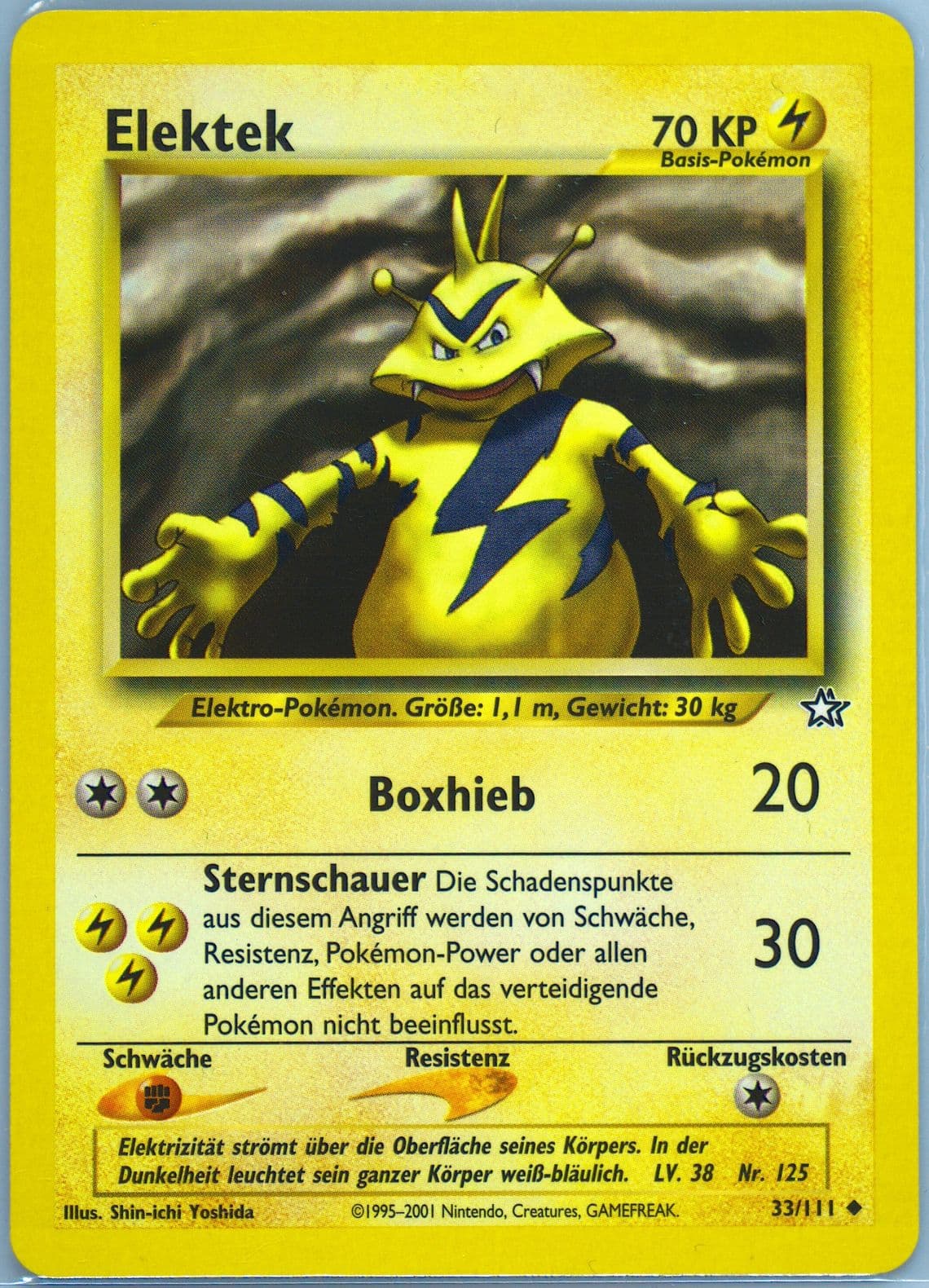 Tyracroc (31) 2001 Pokemon German Neo Genesis