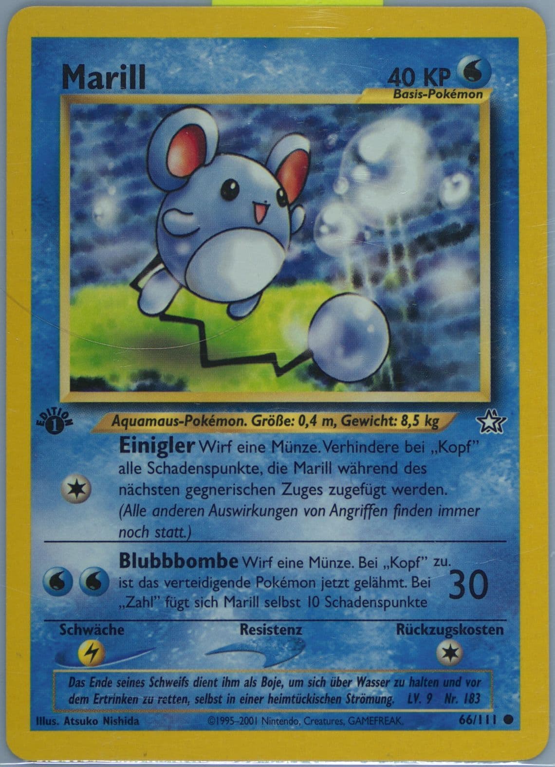 Marill 1st Edition (66) 2001 Pokemon German Neo Genesis