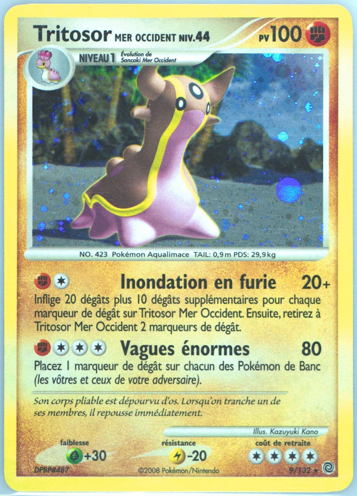 Tritosor (Mer Occident)-Holo (9) 2008 Pokemon French Diamond & Pearl Secret Wonders