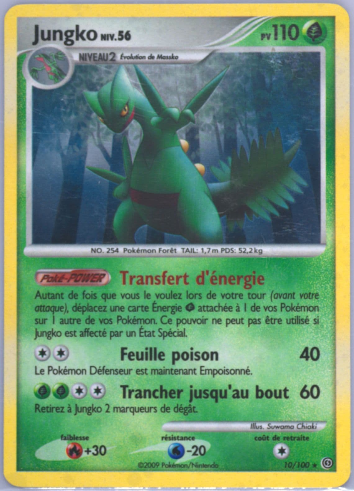 Jungko-Holo (10) 2009 Pokemon French Diamond & Pearl Stormfront