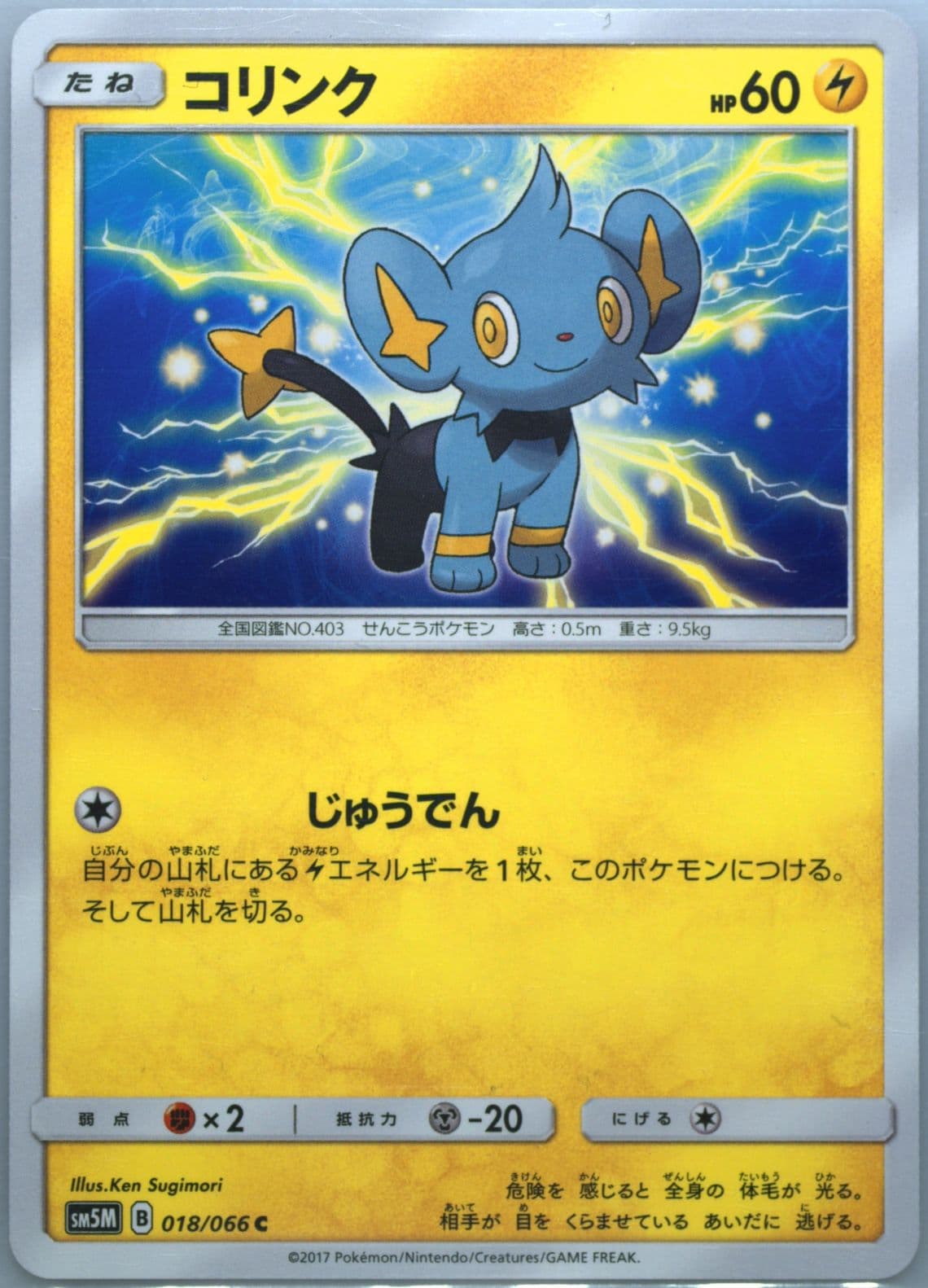 Shinx (018) 2017 Pokemon Japanese Sun & Moon Ultra Moon