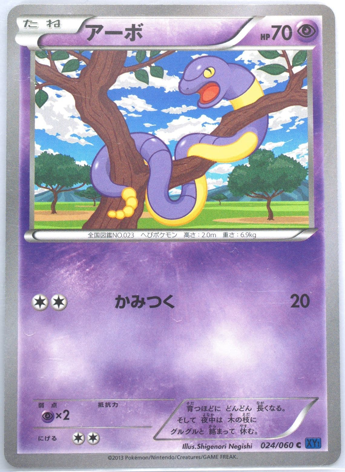 Ekans X (024) 2013 Pokemon Japanese XY