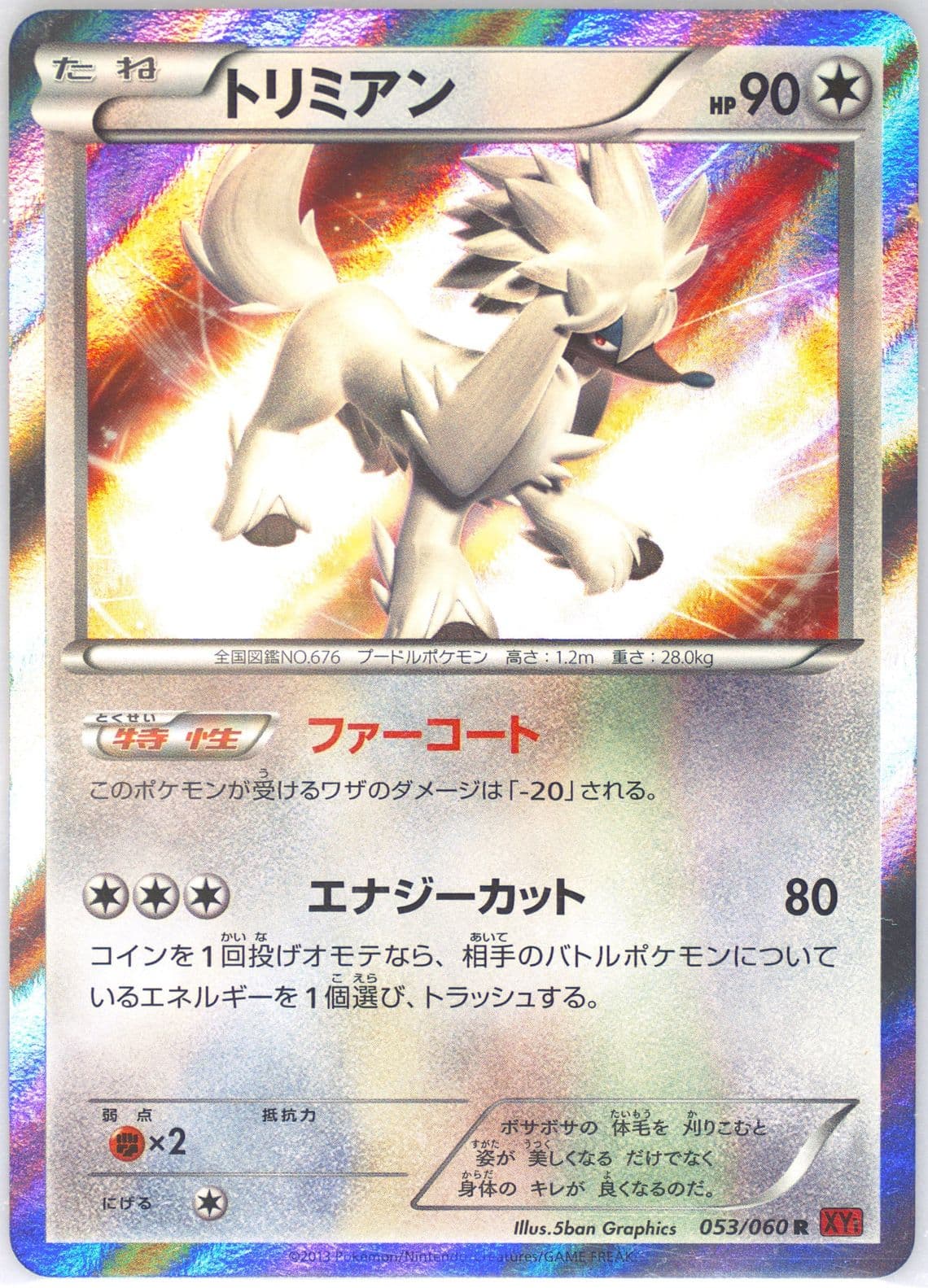 Furfrou-Holo Y-1st Edition (053) 2013 Pokemon Japanese XY