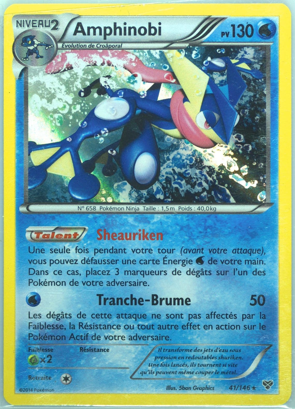 Amphinobi-Holo French (41) 2014 Pokemon XY