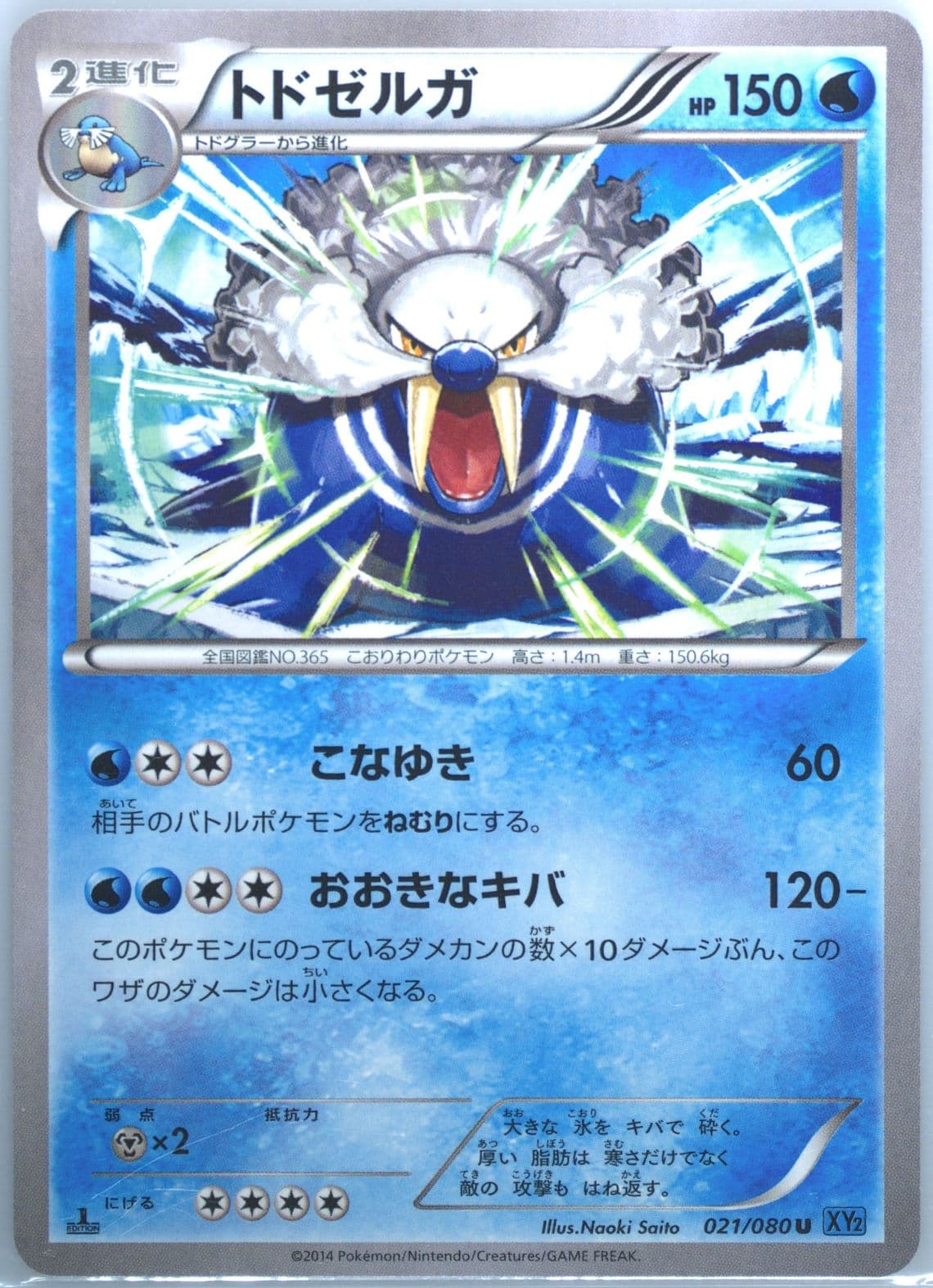 Walrein 1st Edition (021) 2014 Pokemon Japanese XY Wild Blaze