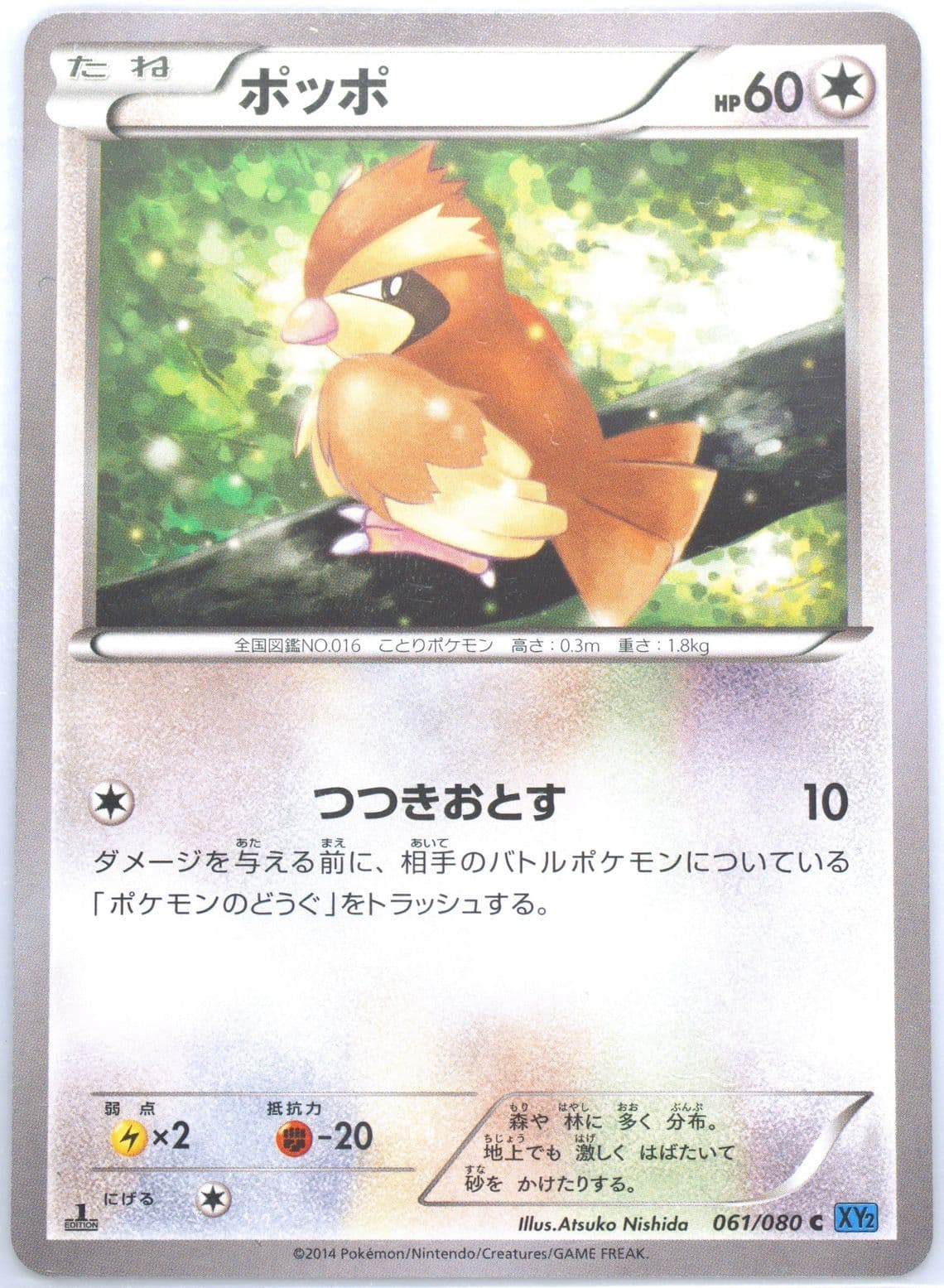 Pidgey 1st Edition (061) 2014 Pokemon Japanese XY Wild Blaze