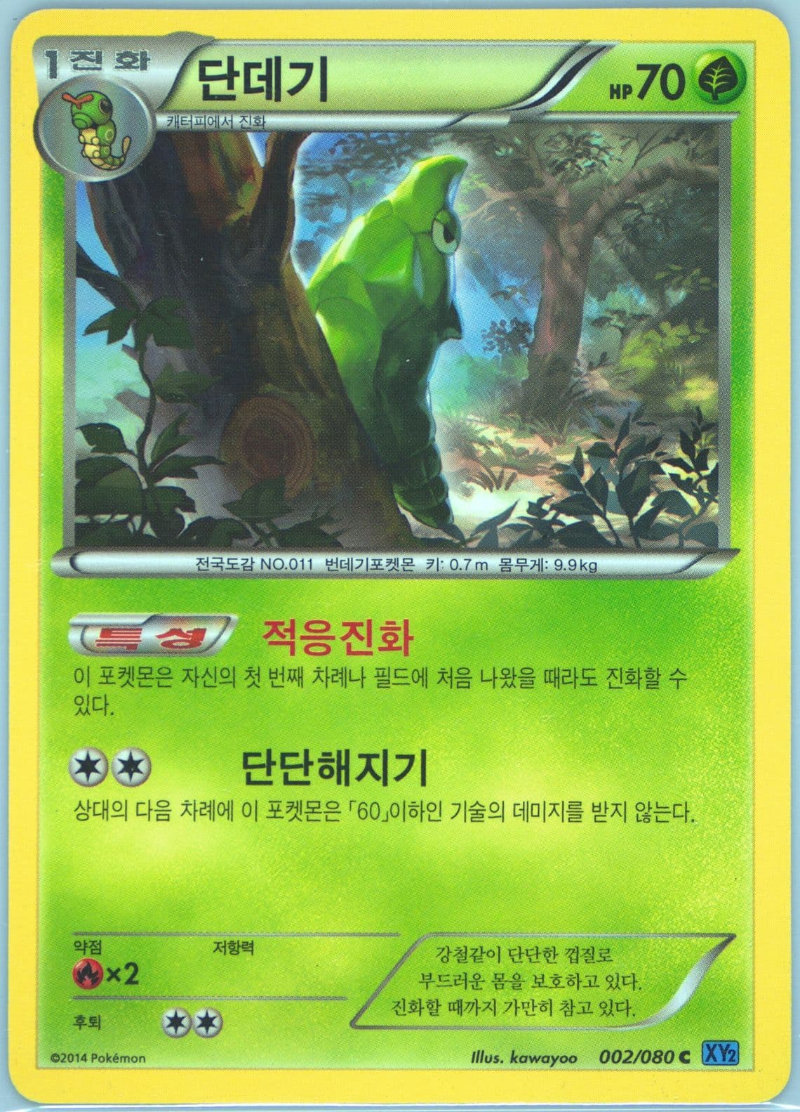 Metapod (002) 2014 Pokemon Korean XY Wild Blaze