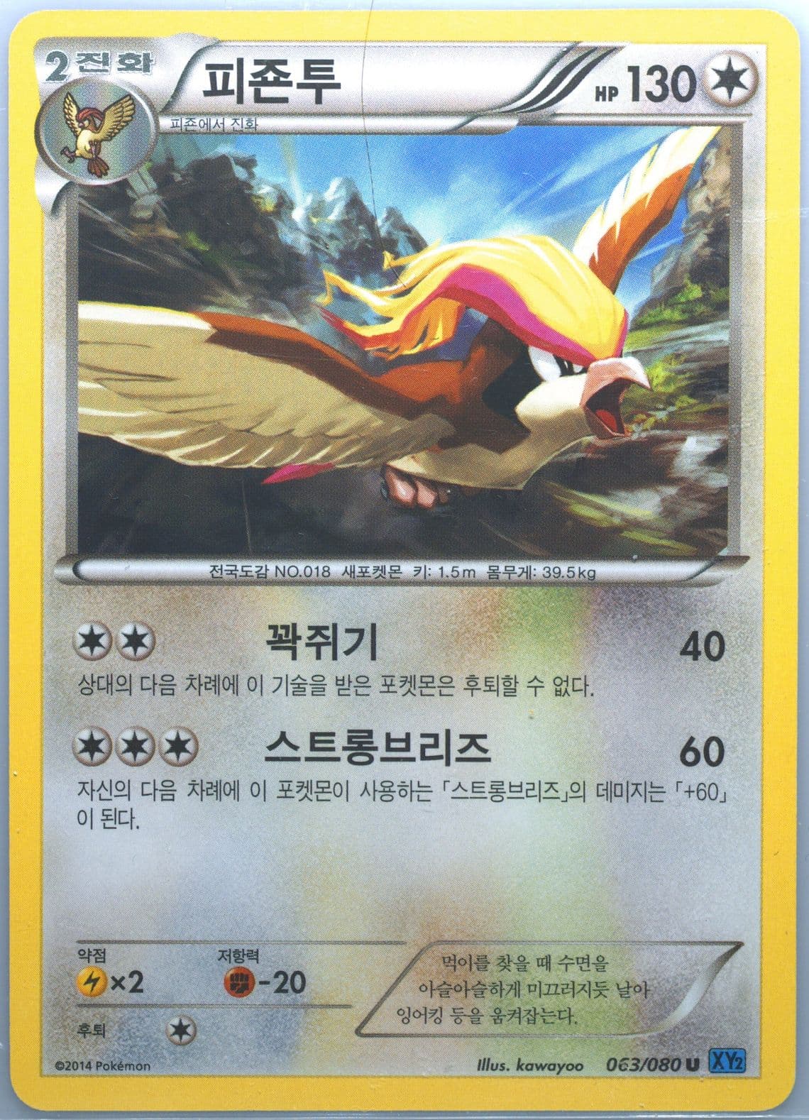 Pidgeot (063) 2014 Pokemon Korean XY Wild Blaze