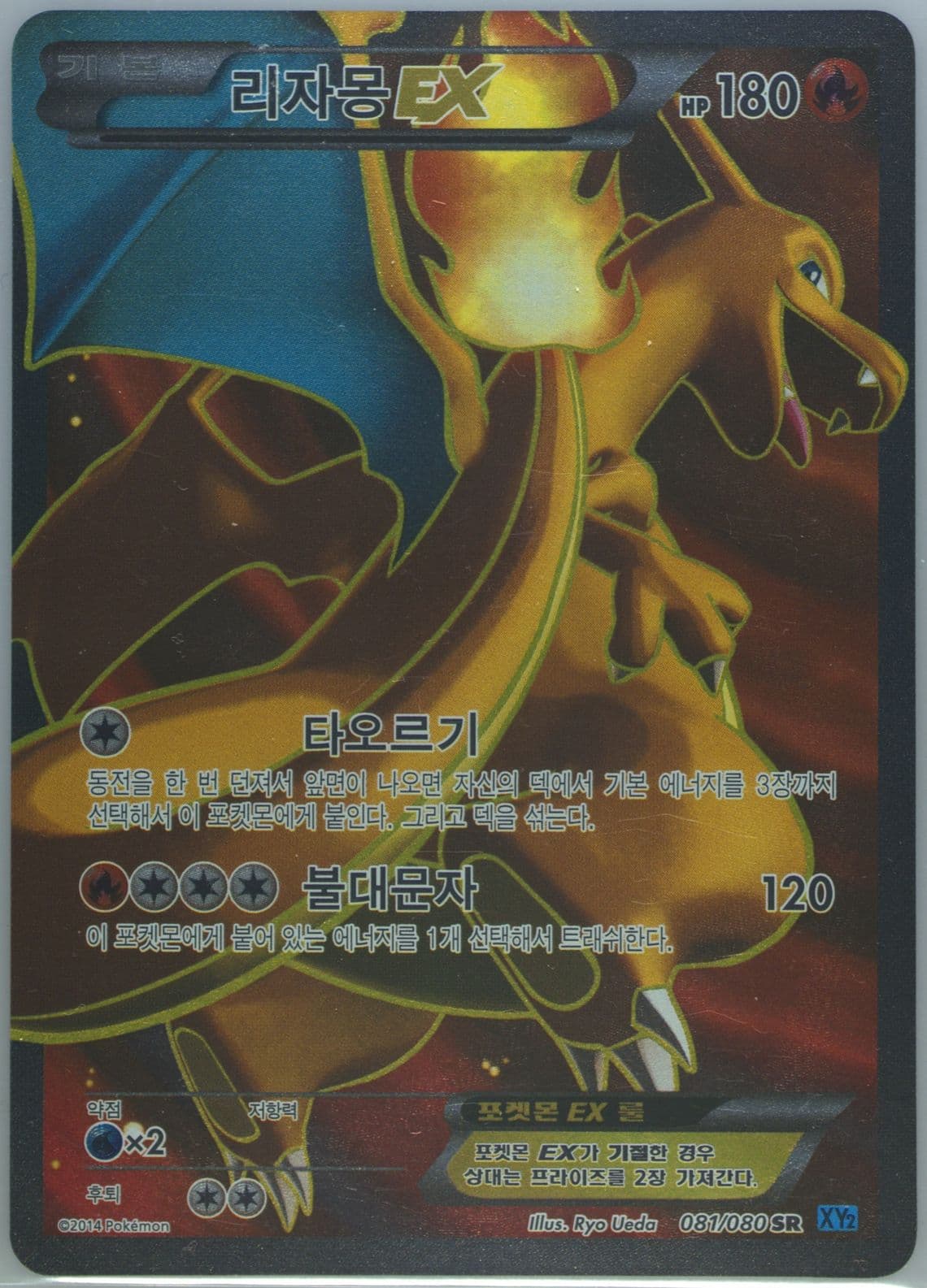 Full Art/Charizard EX (081) 2014 Pokemon Korean XY Wild Blaze