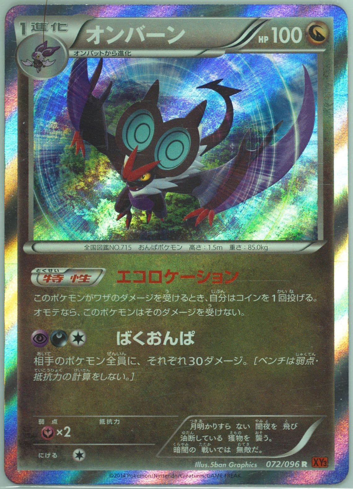 Noivern-Holo (072) 2014 Pokemon Japanese XY Rising Fist