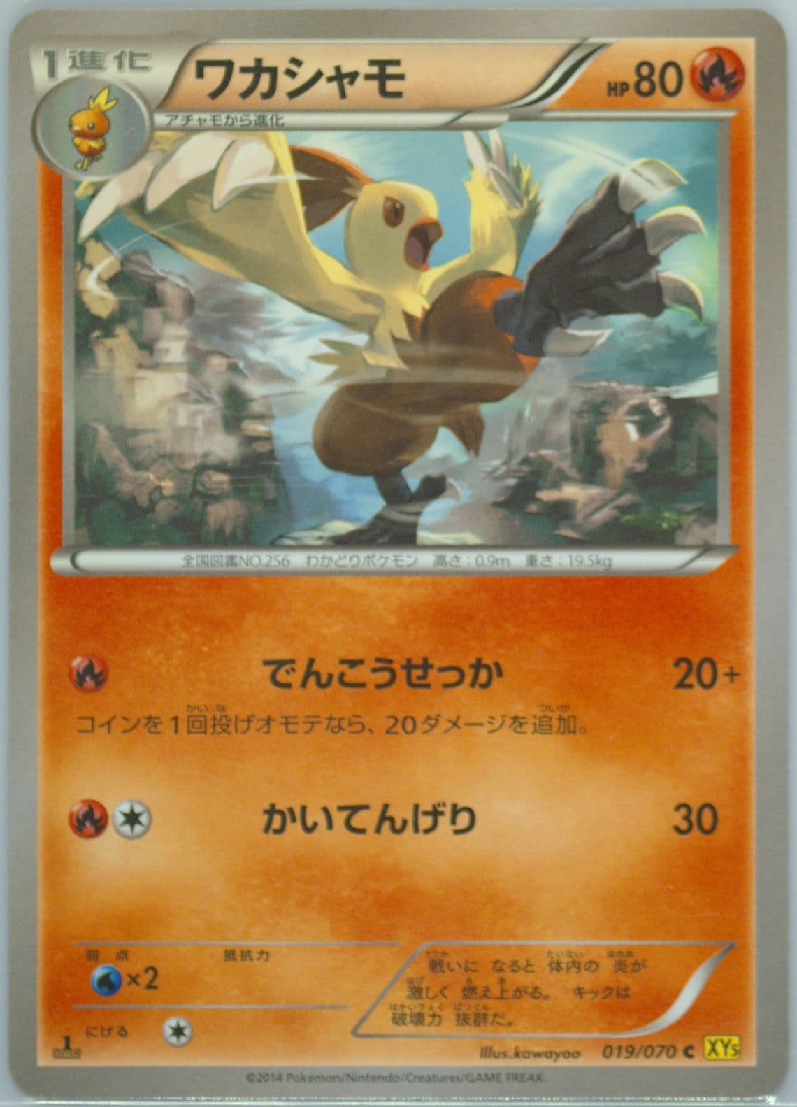 Combusken 1st Edition (019) 2014 Pokemon Japanese XY Gaia Volcano