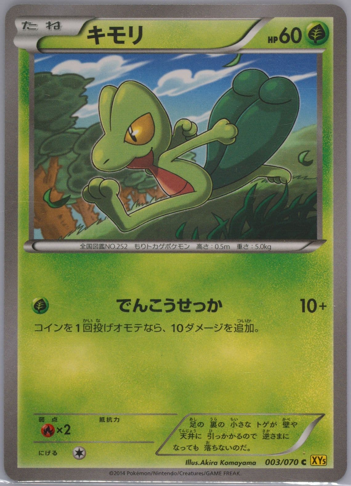 Treecko (003) 2014 Pokemon Japanese XY Gaia Volcano