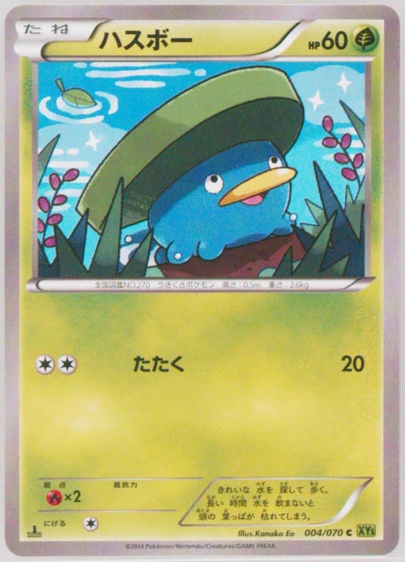 Lotad 1st Edition (004) 2014 Pokemon Japanese XY Tidal Storm