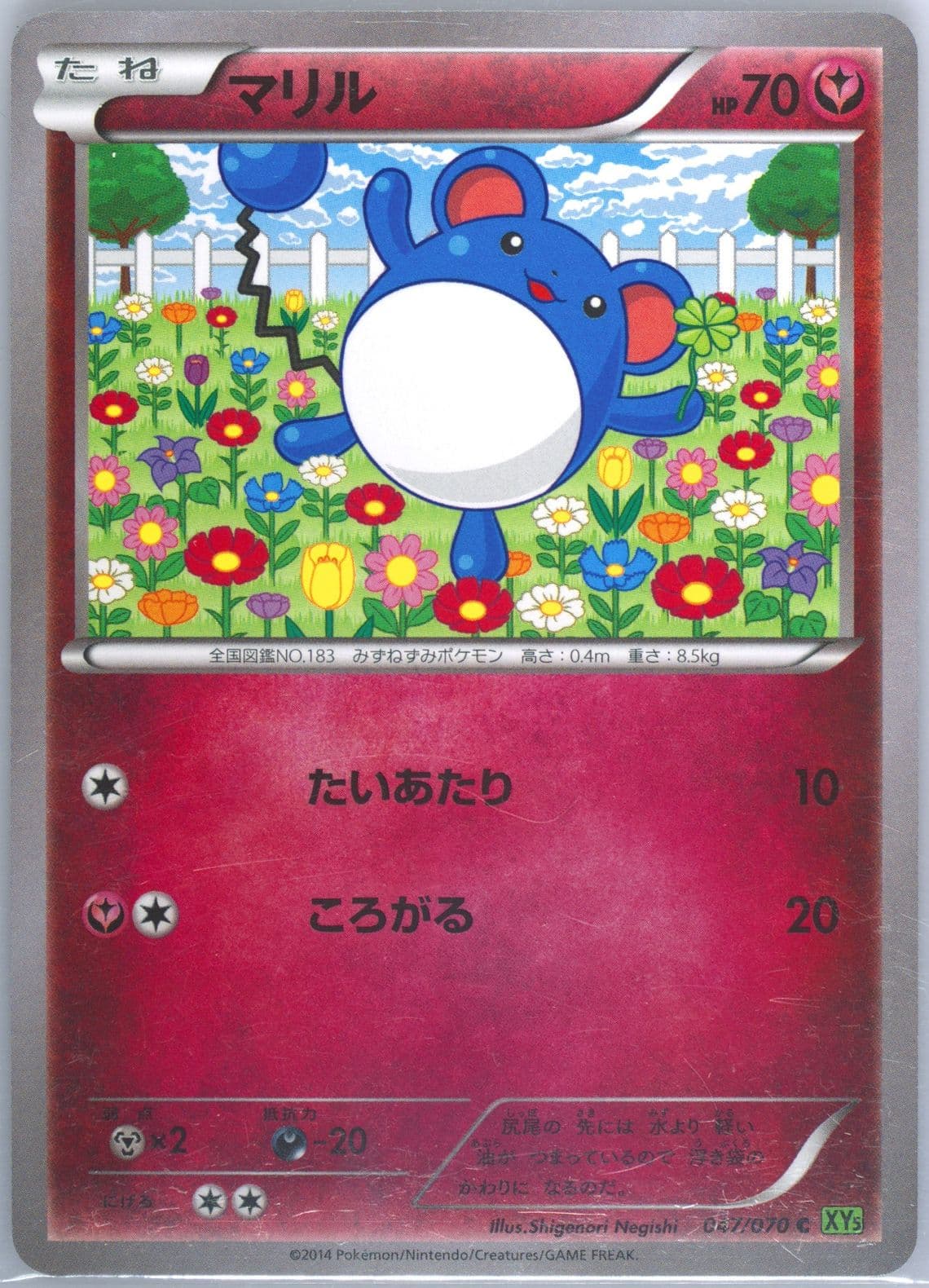 Marill (047) 2014 Pokemon Japanese XY Tidal Storm