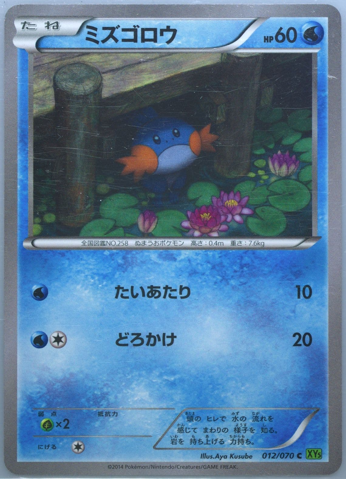 Mudkip (012) 2014 Pokemon Japanese XY Tidal Storm