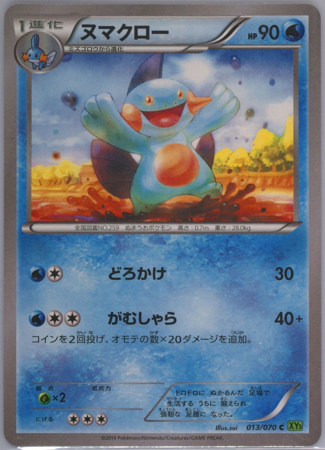 Marshtomp (013) 2014 Pokemon Japanese XY Tidal Storm