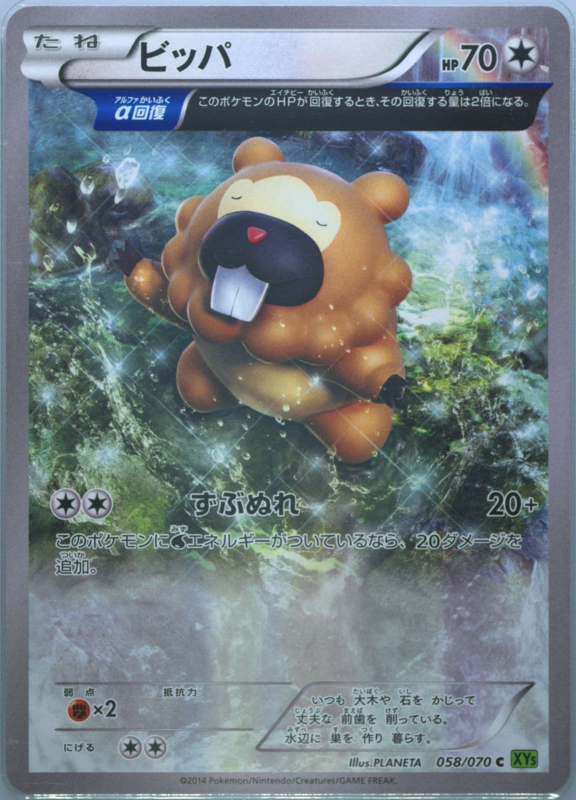Bidoof (058) 2014 Pokemon Japanese XY Tidal Storm