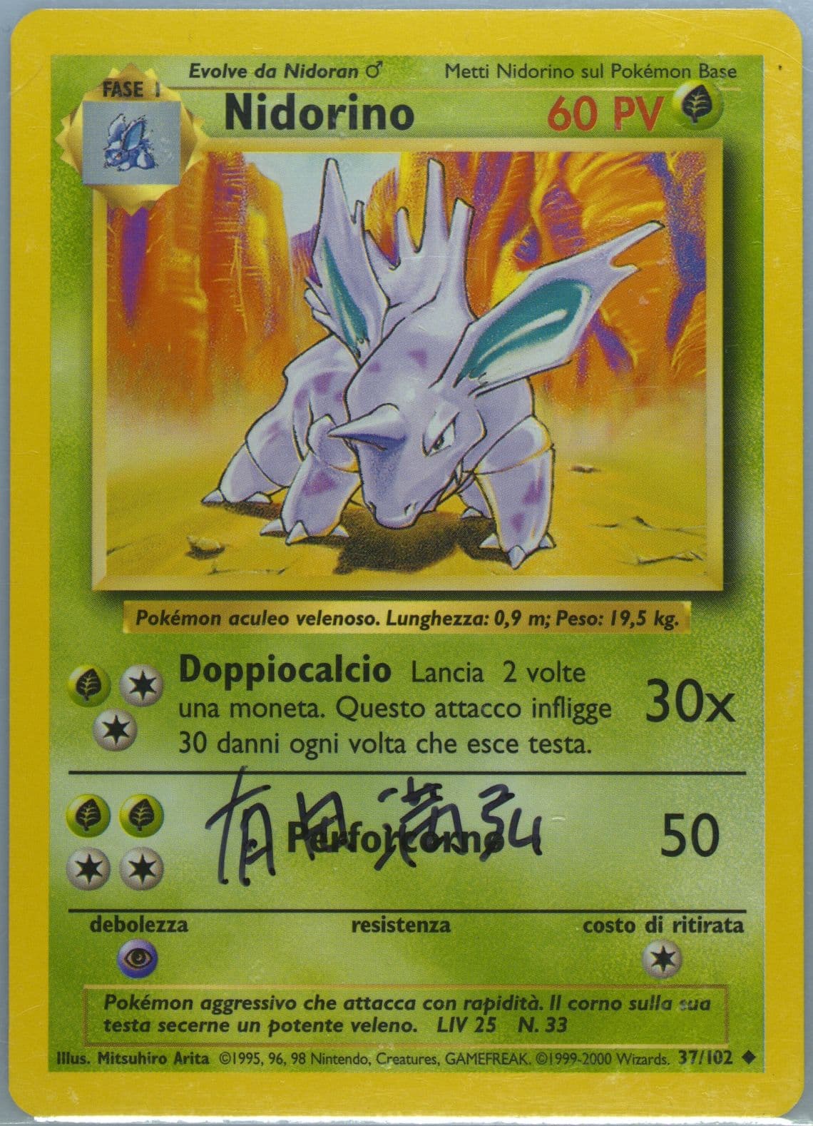 Nidorino Italian (37) 2000 Pokemon Game