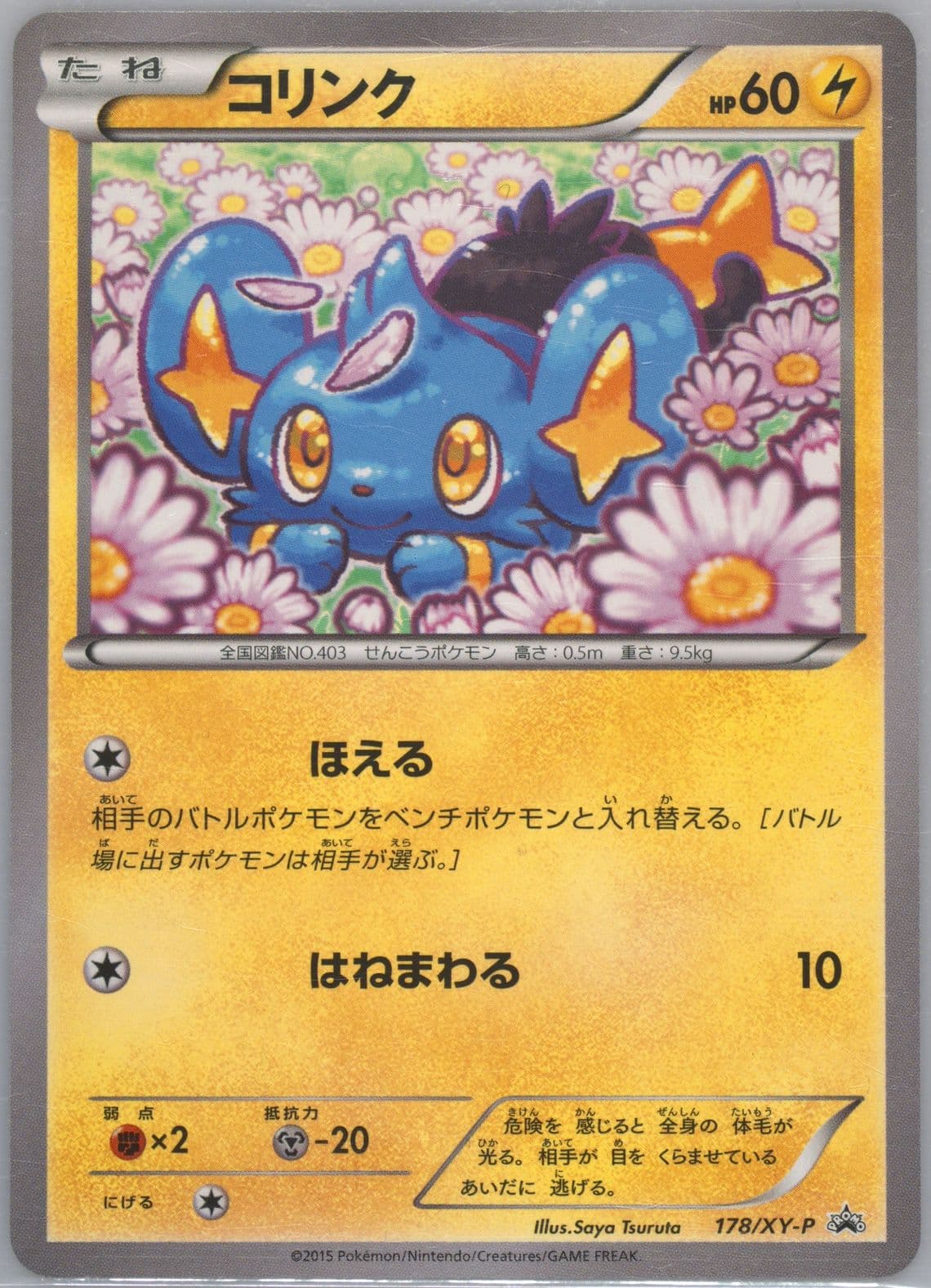 Shinx Double Mega Break Set (178) 2015 Pokemon Japanese XY Promo