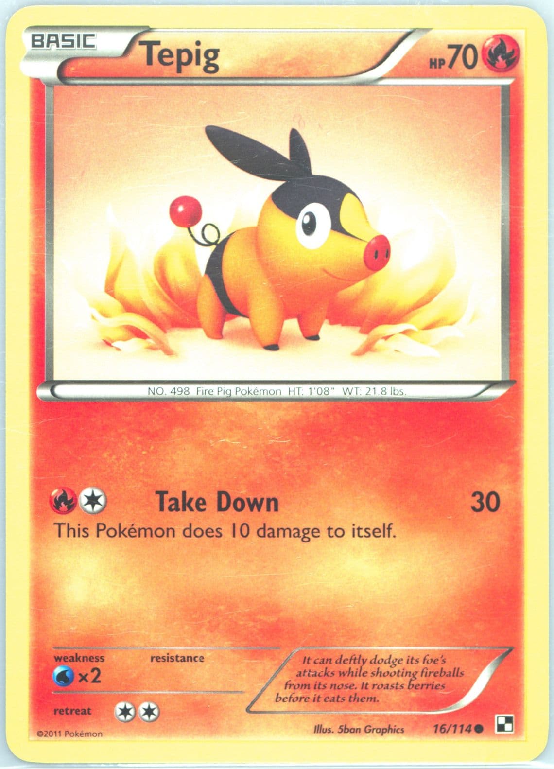 Tepig (16) 2011 Pokemon Black & White