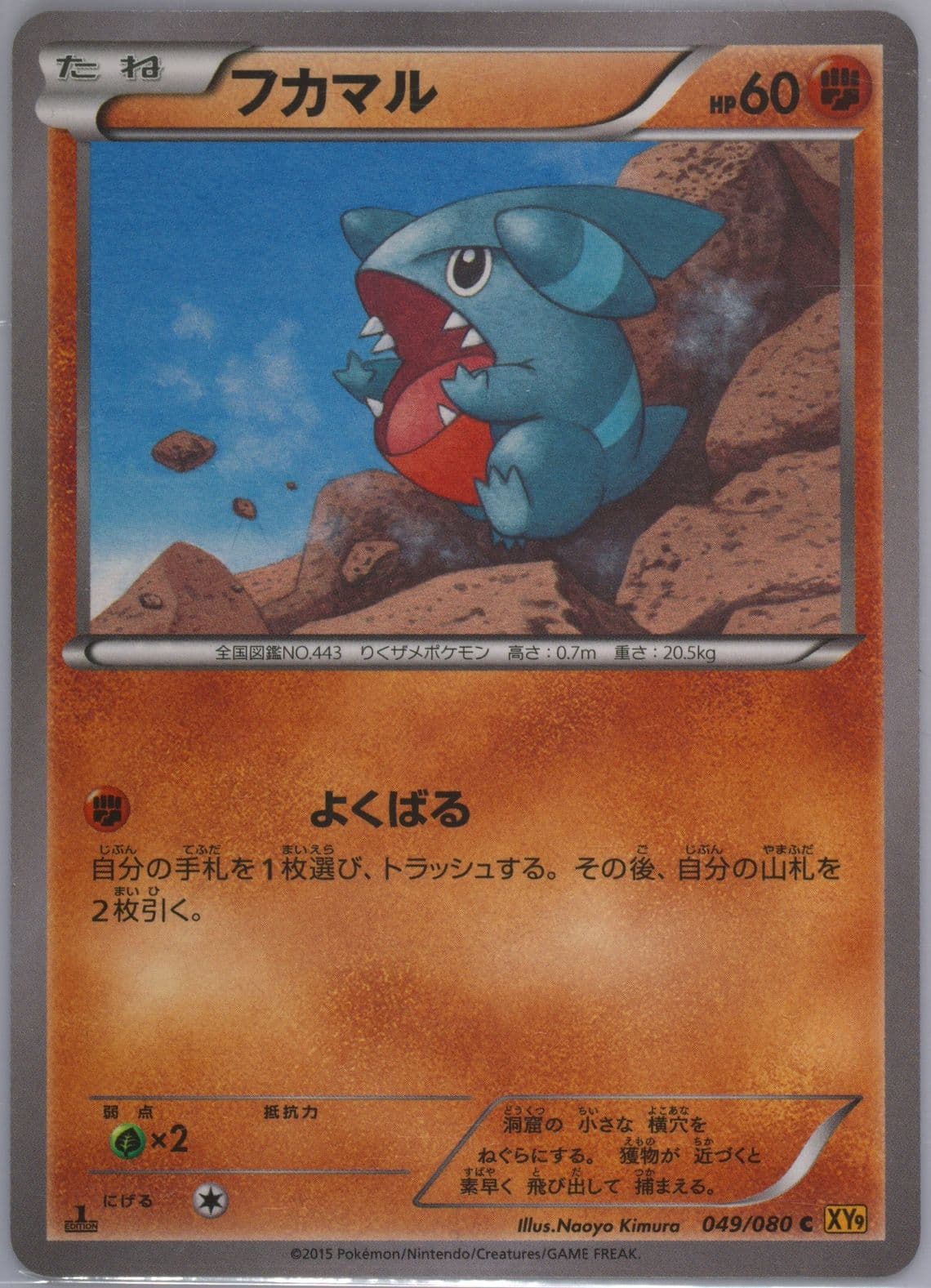Gible 1st Edition (049) 2015 Pokemon Japanese XY Rage of the Broken Heavens