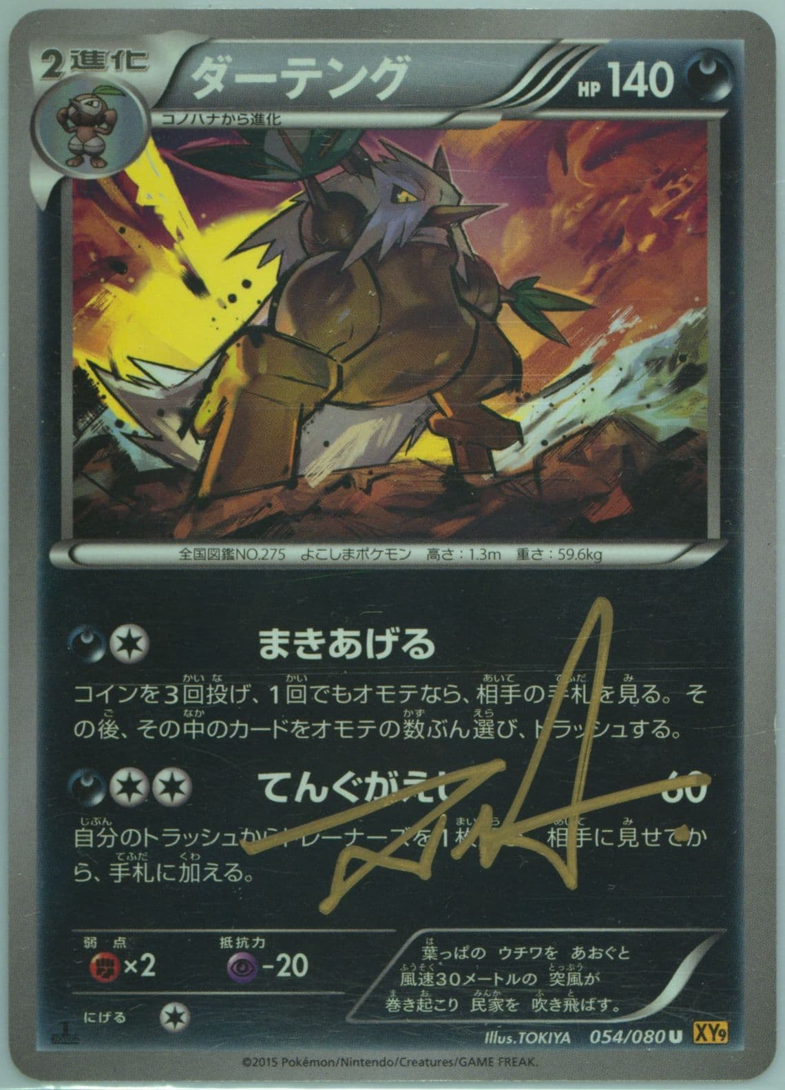 Shiftry 1st Edition (054) 2015 Pokemon Japanese XY Rage of the Broken Heavens